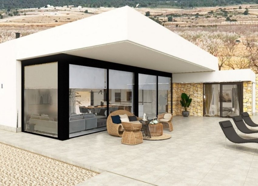 Obra nueva - Villa - Pinoso - Lel