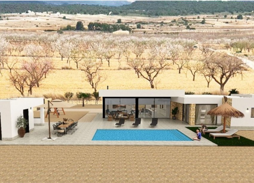 Obra nueva - Villa - Pinoso - Lel