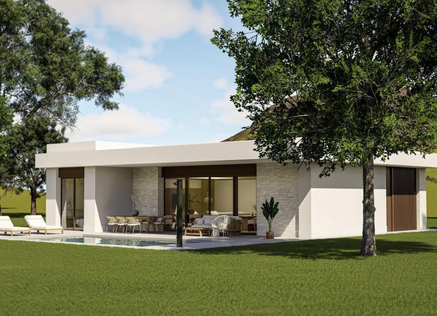 Obra nueva - Villa - Pinoso - Lel