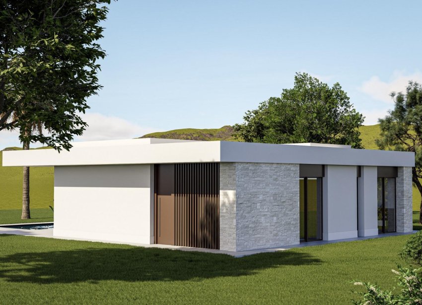 Obra nueva - Villa - Pinoso - Lel