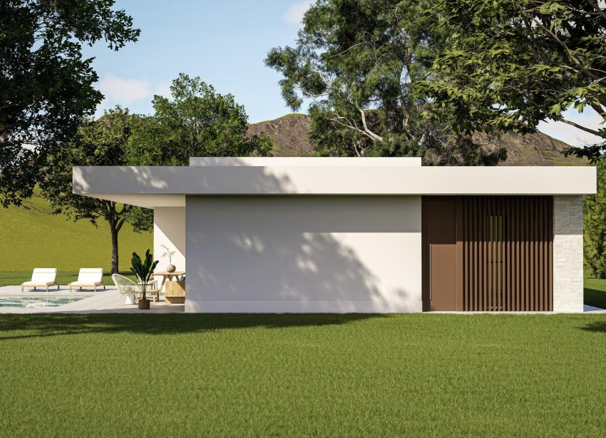 Obra nueva - Villa - Pinoso - Lel