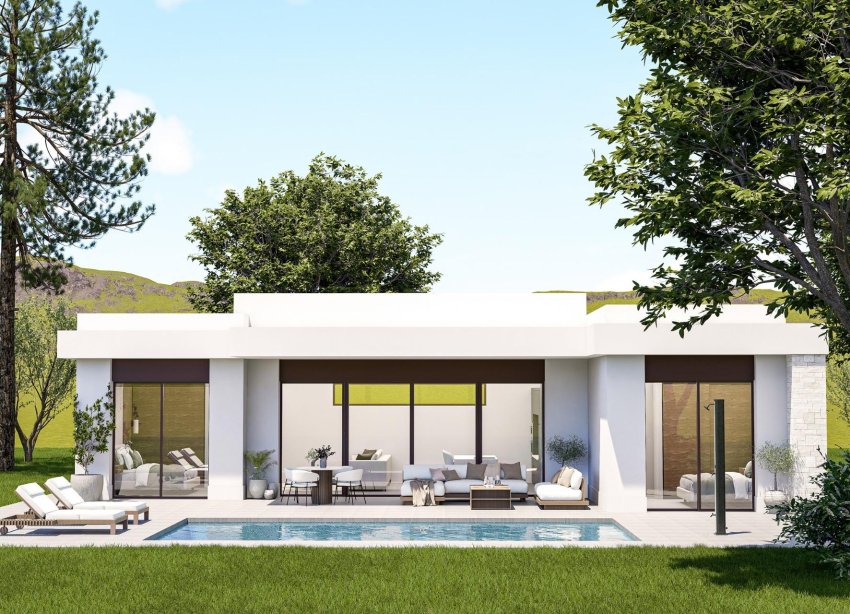 Obra nueva - Villa - Pinoso - Lel