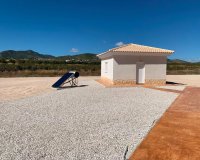 Obra nueva - Villa - Pinoso