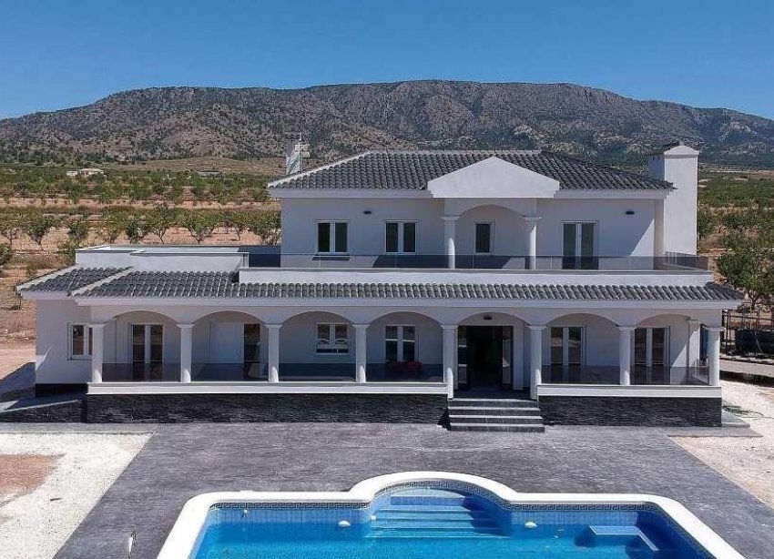 Obra nueva - Villa - Pinoso