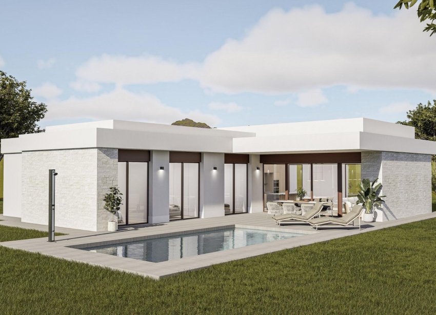 Obra nueva - Villa - Pinoso