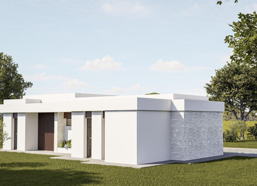 Obra nueva - Villa - Pinoso