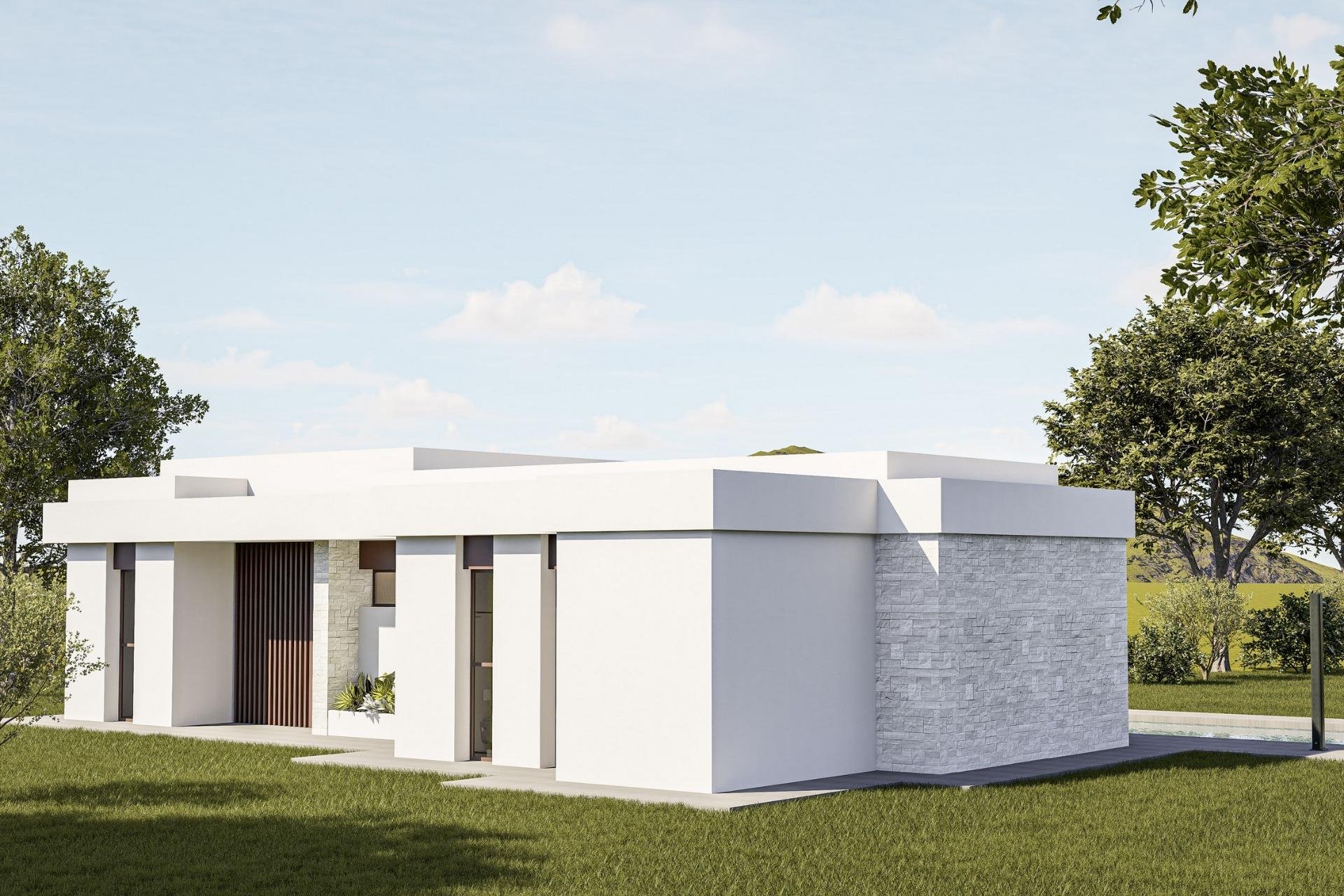 Obra nueva - Villa - Pinoso