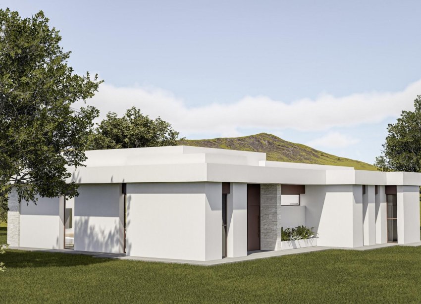 Obra nueva - Villa - Pinoso