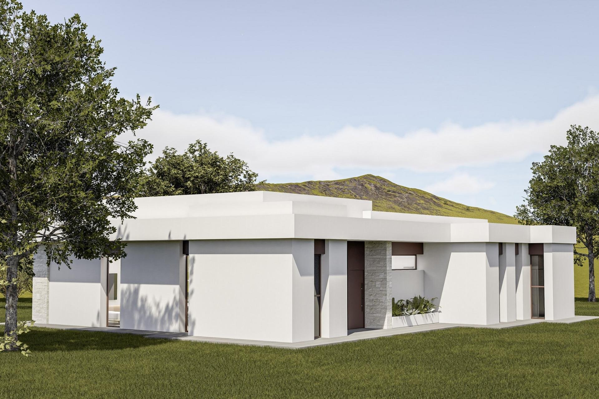 Obra nueva - Villa - Pinoso