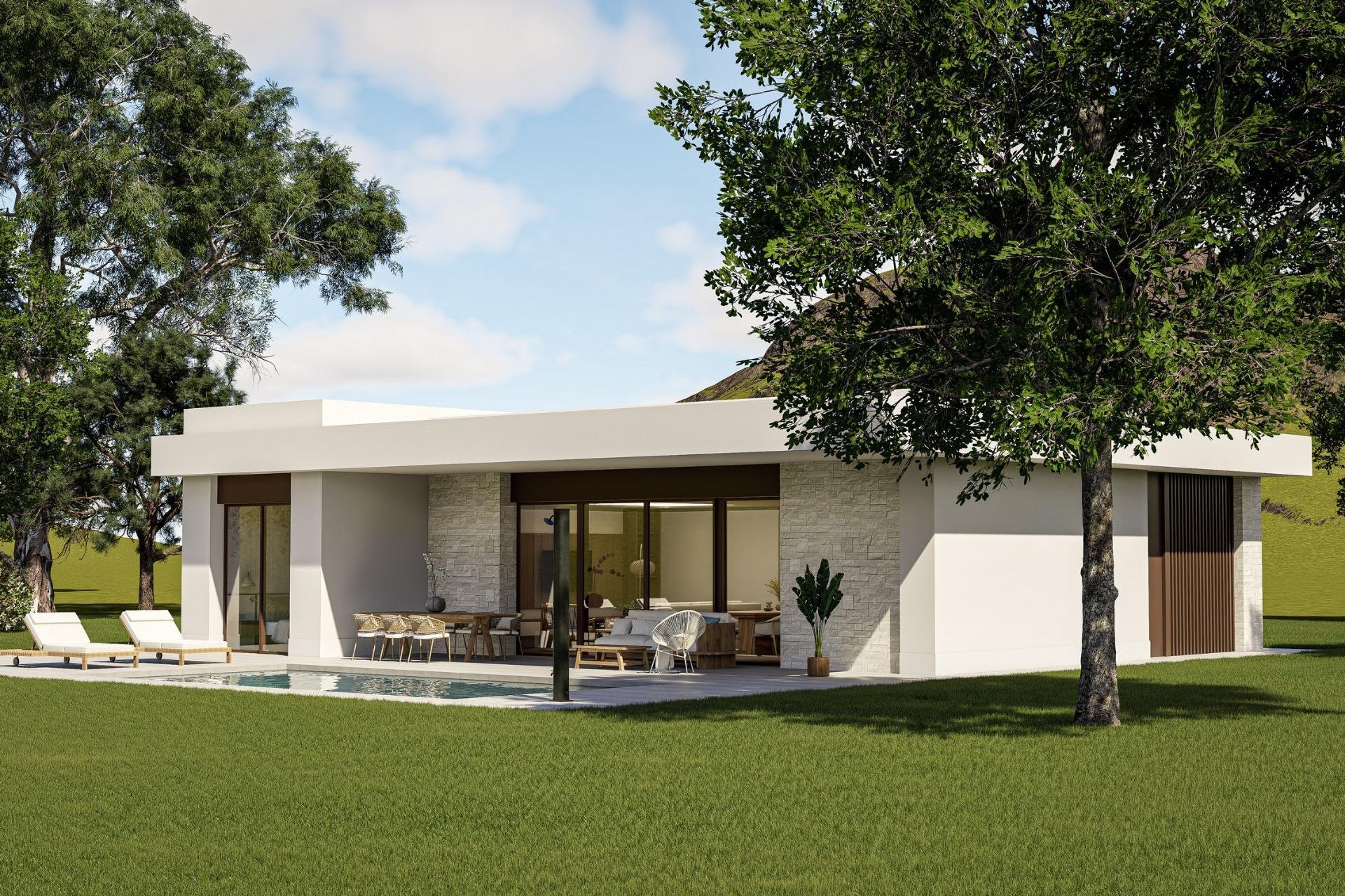 Obra nueva - Villa - Pinoso