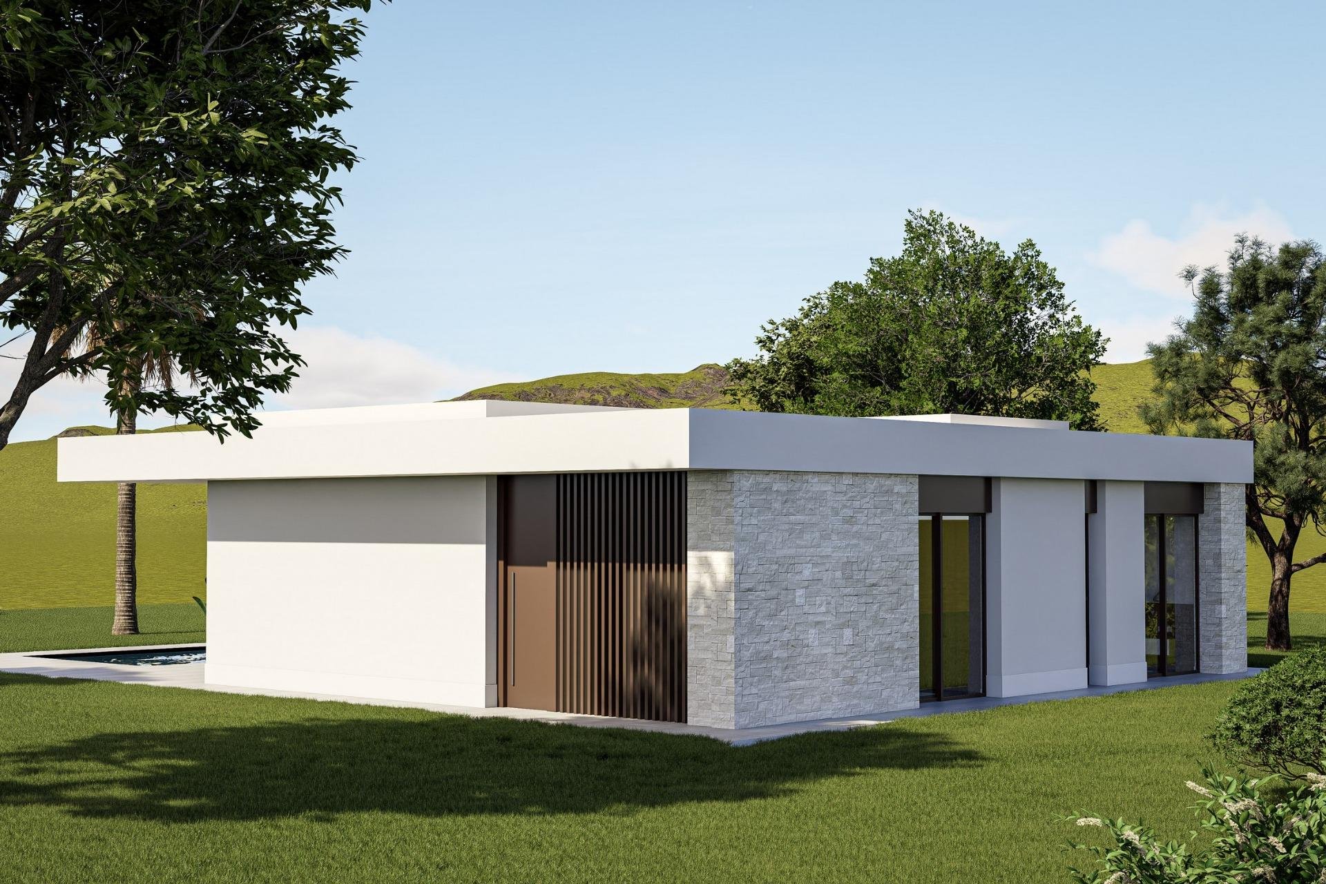 Obra nueva - Villa - Pinoso