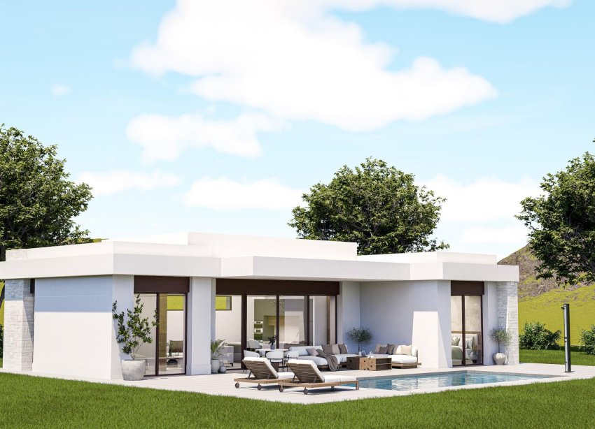 Obra nueva - Villa - Pinoso