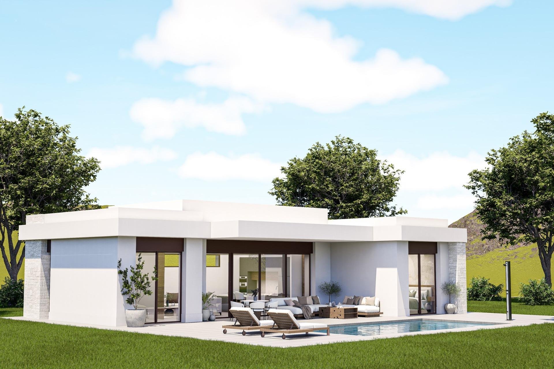 Obra nueva - Villa - Pinoso