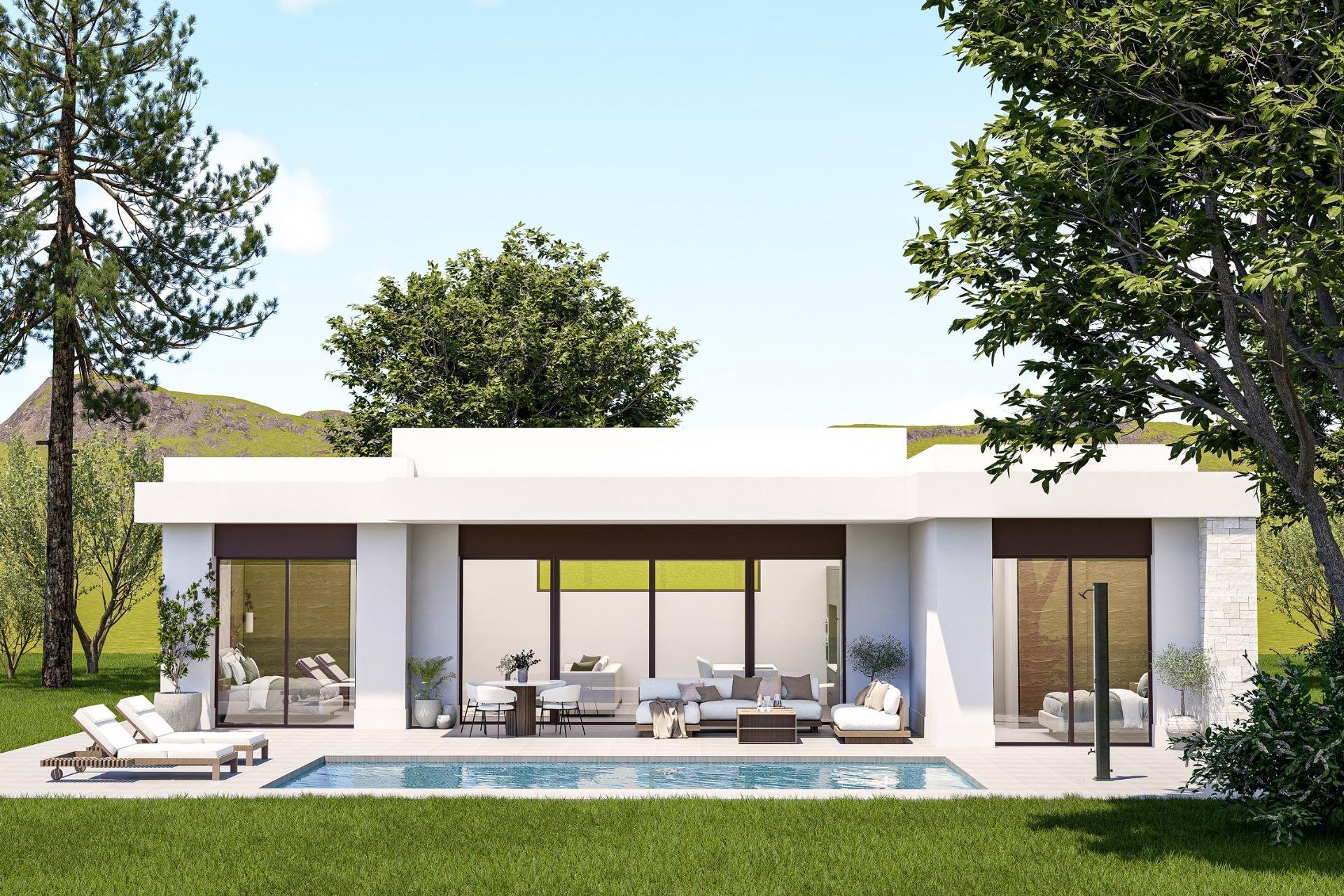 Obra nueva - Villa - Pinoso