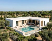 Obra nueva - Villa - Pinoso