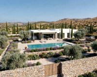 Obra nueva - Villa - Pinoso