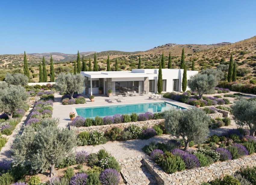 Obra nueva - Villa - Pinoso
