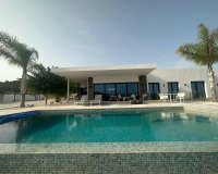 Obra nueva - Villa - Pinoso