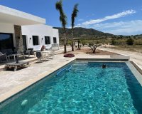 Obra nueva - Villa - Pinoso