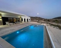Obra nueva - Villa - Pinoso