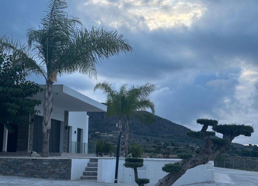 Obra nueva - Villa - Pinoso