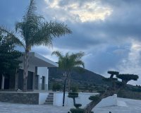 Obra nueva - Villa - Pinoso