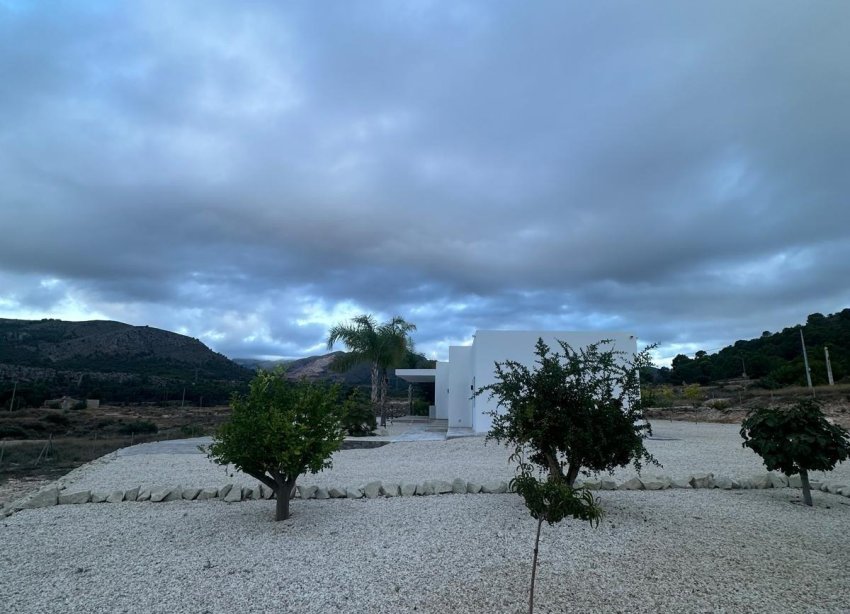 Obra nueva - Villa - Pinoso