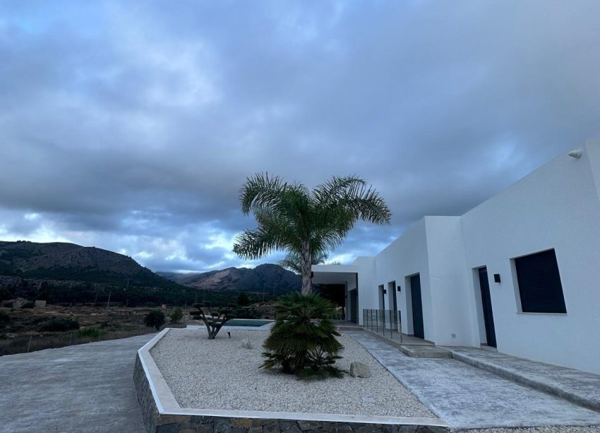 Obra nueva - Villa - Pinoso