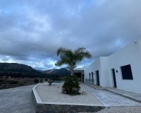 Obra nueva - Villa - Pinoso