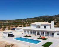 Obra nueva - Villa - Pinoso