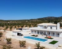 Obra nueva - Villa - Pinoso