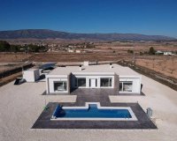 Obra nueva - Villa - Pinoso