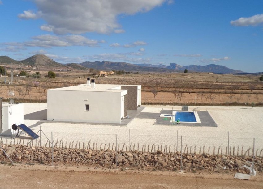 Obra nueva - Villa - Pinoso