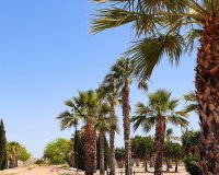 Obra nueva - Villa - San Fulgencio - La Escuera