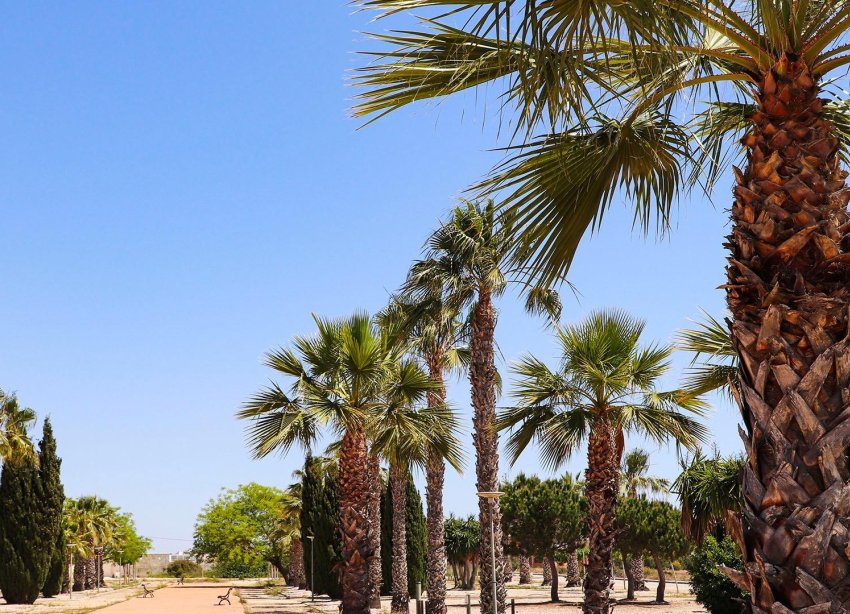 Obra nueva - Villa - San Fulgencio - La Escuera