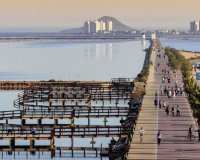 Obra nueva - Villa - San Pedro del Pinatar - San Pedro Del Pinatar