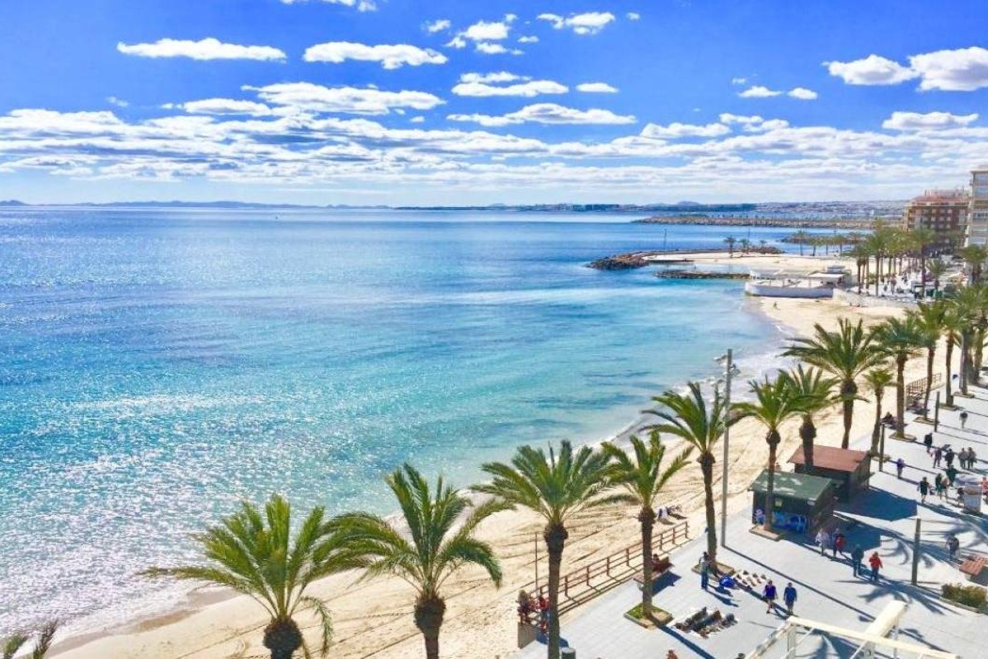 Obra nueva - Villa - Torrevieja - Lago Jardín II