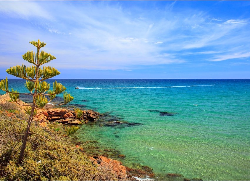 Obra nueva - Villa - Torrevieja - Los Altos