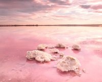 Obra nueva - Villa - Torrevieja - Sector 25