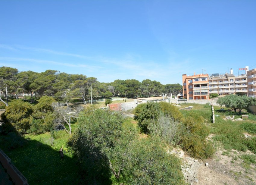 Resale - Apartament / Duplex - Guardamar del Segura - CERVANTES-PLAYA