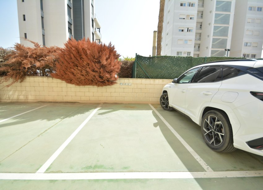 Resale - Apartament / Duplex - Guardamar del Segura - SUP 7