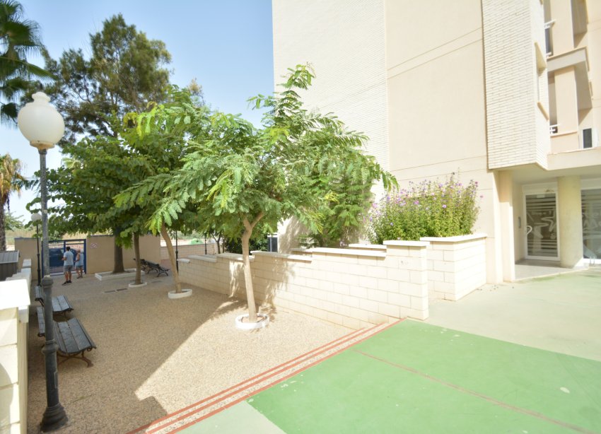 Resale - Apartament / Duplex - Guardamar del Segura - SUP 7