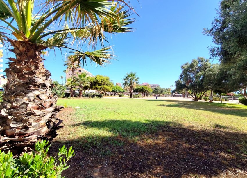 Resale - Apartament / Duplex - La Mata
