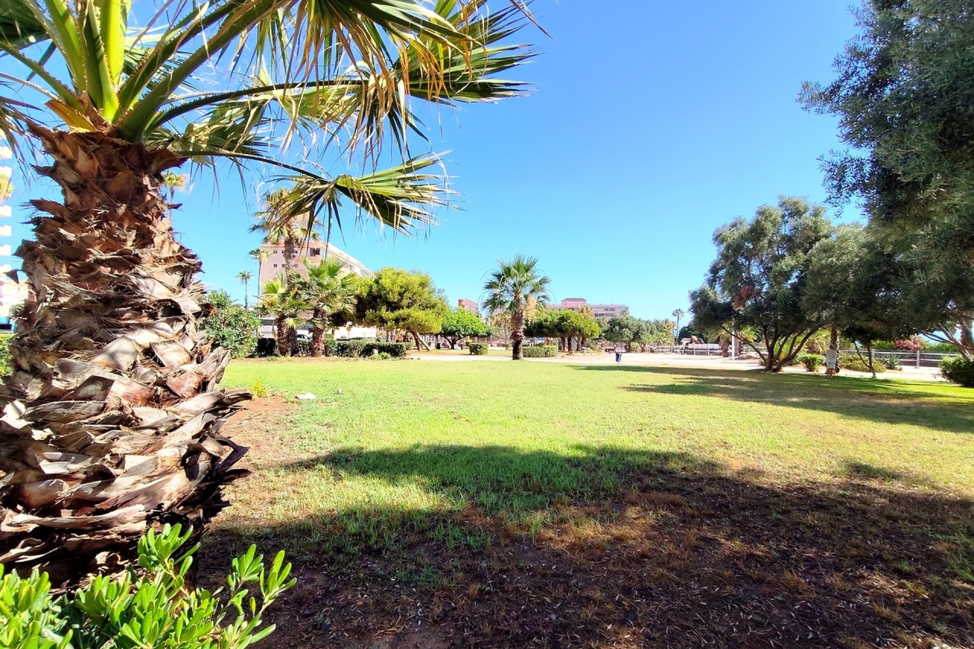 Resale - Apartament / Duplex - La Mata