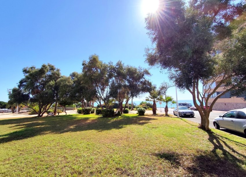 Resale - Apartament / Duplex - La Mata