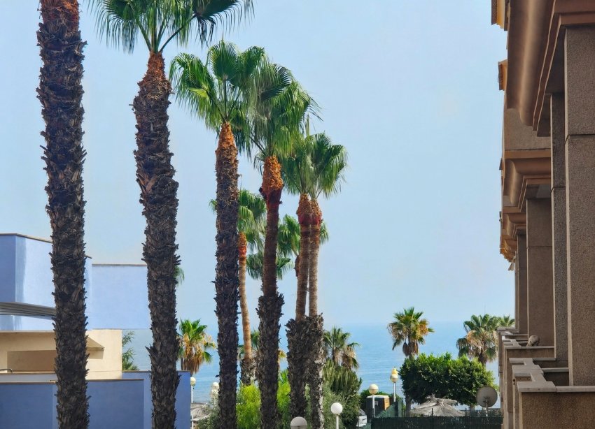 Resale - Apartament / Duplex - Orihuela Costa - Agua Marina