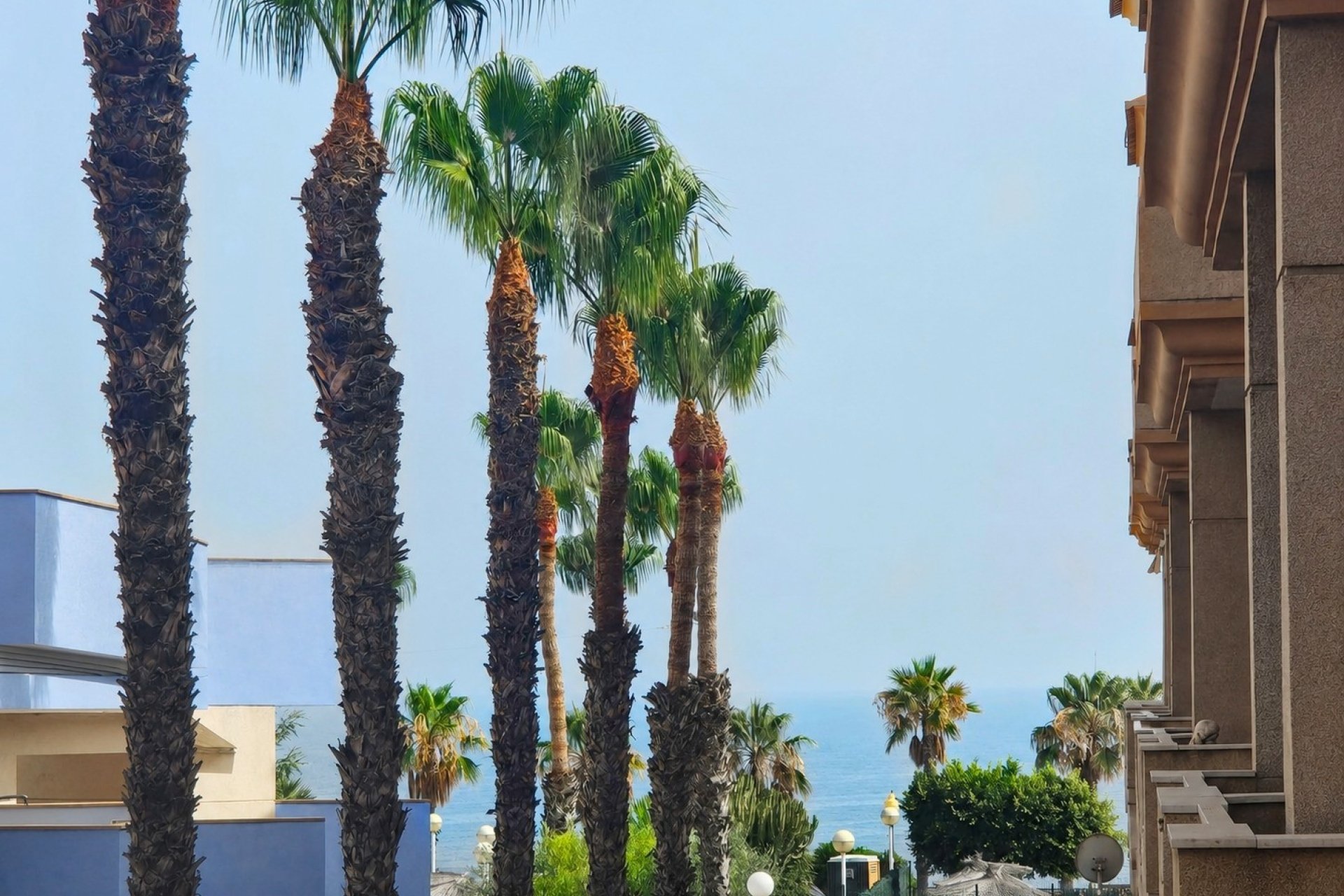 Resale - Apartament / Duplex - Orihuela Costa - Agua Marina