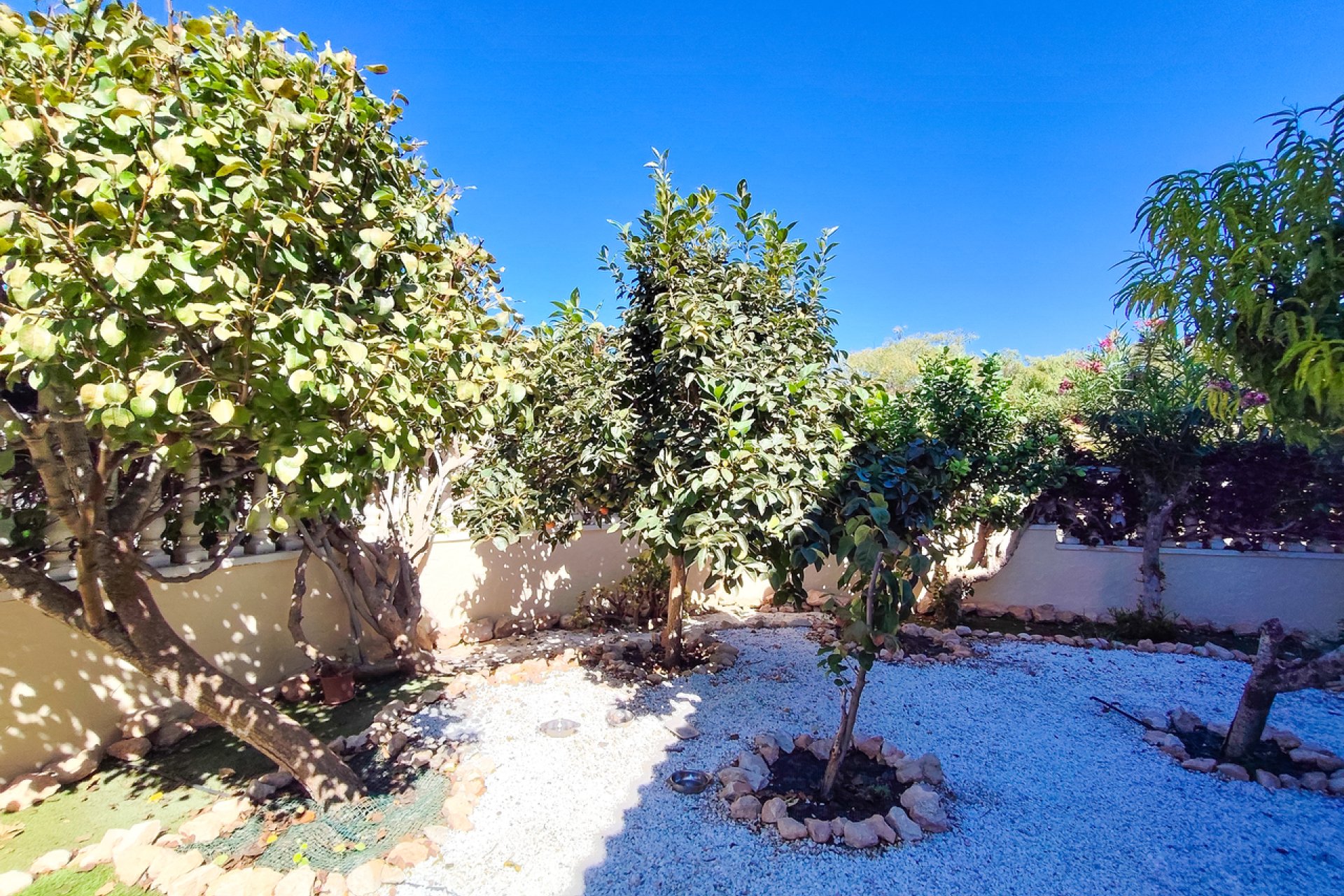 Resale - Apartament / Duplex - Orihuela Costa - Cabo Roig