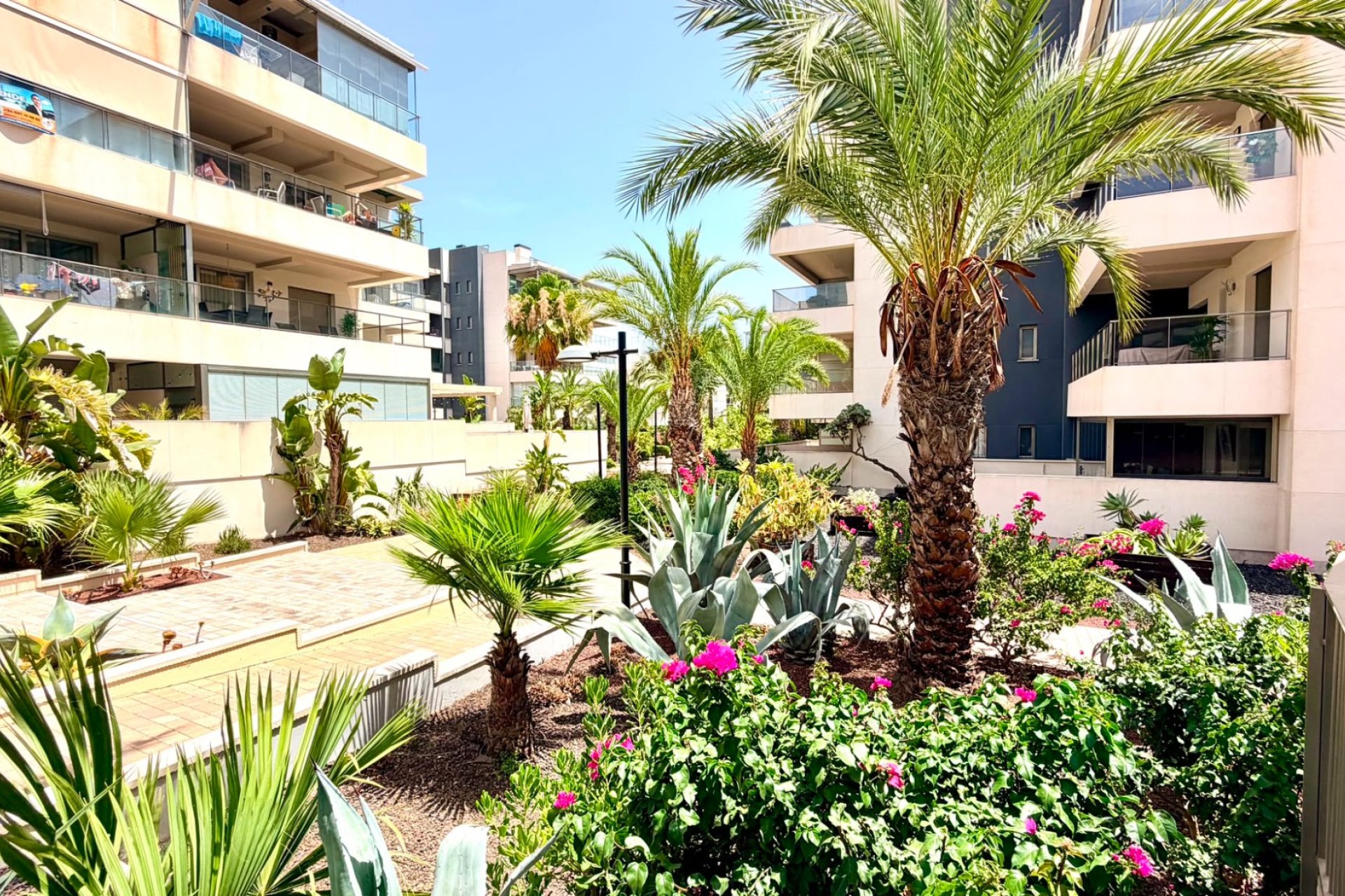 Resale - Apartament / Duplex - Orihuela Costa - La Zenia