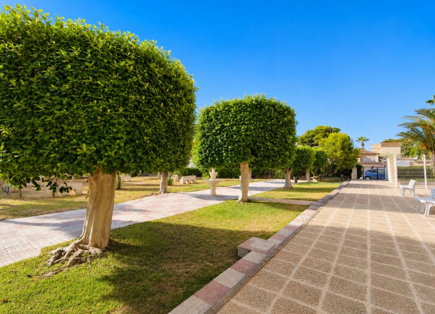 Resale - Apartament / Duplex - Orihuela Costa - La Zenia